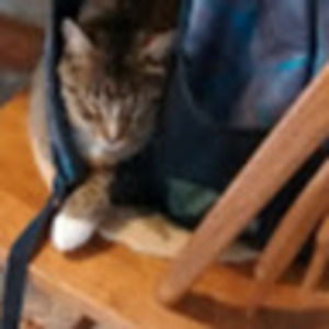 Meet your Posher, Vj